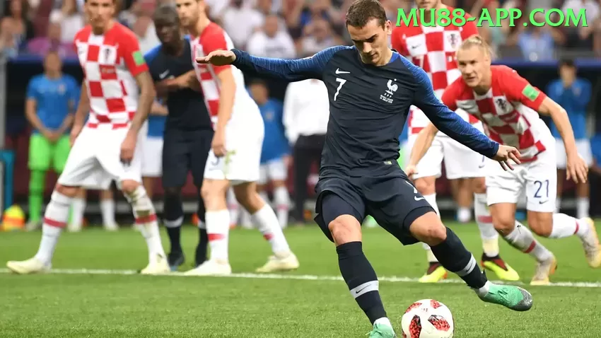 Descubra contavip: Guia Prático Para Iniciantes e Experts - pk