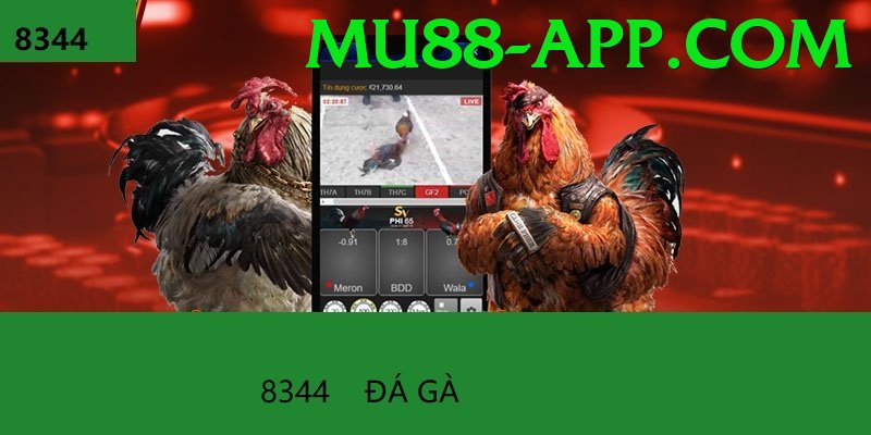 Đá Gà Trực Tiếp - mu88 - Vật phẩm độc quyền