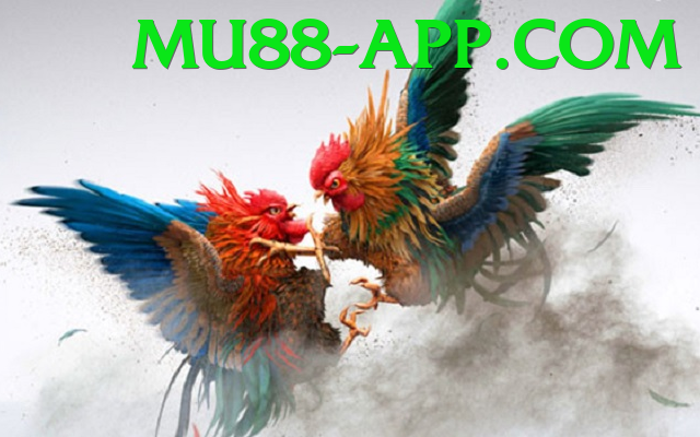 Cách Đọc Kèo Đá Gà - Game nuôi thú